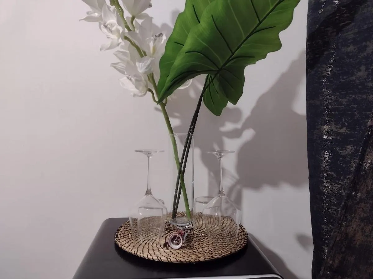 Vatican Luxury Apartment Rome 0*,  Italy